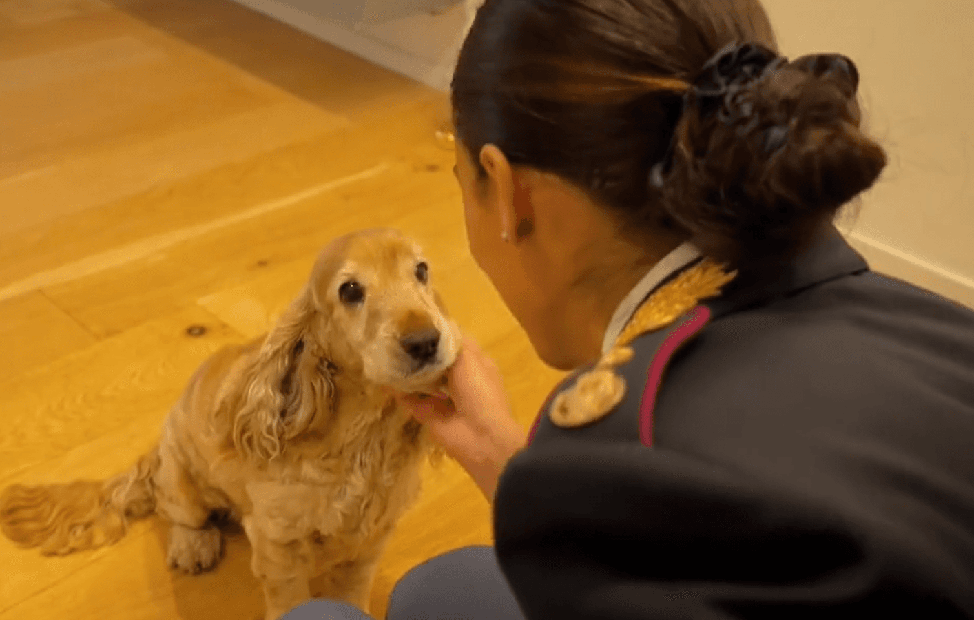 Una poliziotta in uniforme, ripresa di spalle, accarezza il muso della cagnolina Joy seduta sul pavimento